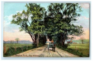 c1910s Horse Carriage, The Willows, Nashua New Hampshire Antique Postcard