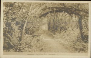 Vancouver BC Stanley Park Wooded Path c1910 Real Photo Postcard