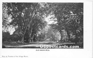 View of Trees - Old Deerfield, Massachusetts MA  