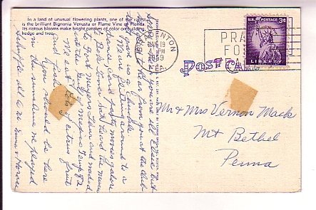 Closeup, Beautiful Flame Vine, Florida, Used 1959