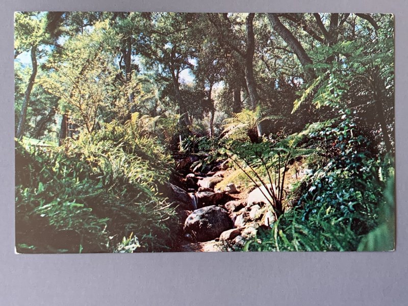 Descanso Gardens La Canada CA Chrome Postcard A1173090551