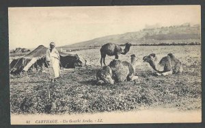 Ca 1934 PPC* Tunisia Arab Camel Tender W/Flock Mint