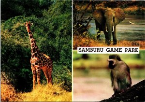 Samburu Game Park Kenya Postcard Giraffe Elephant 