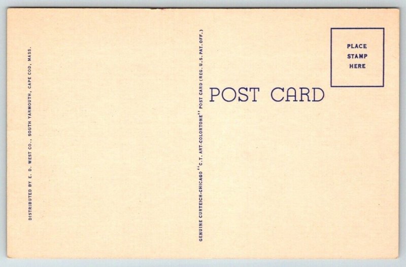 Ocean Seashore Cape Cod  Massachusetts Postcard