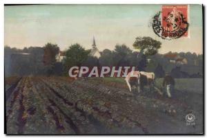 Old Postcard Folklore Oxen Plowing hitch