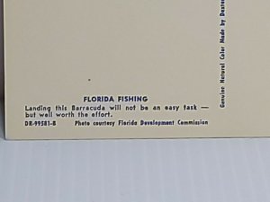 Florida Fishing Barracuda Vintage Postcard Unposted