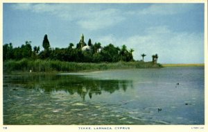 cyprus, LARNACA, Hala Sultan Tekke Mosque (1960s) Raphael Tuck 118 Postcard