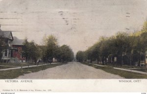 WINDSOR , Ontario , Canada , 1910 ; Victoria Avenue ; version 5