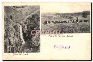 Great Britain Old Postcard View of Howick Howick fall from Stackland Shelter