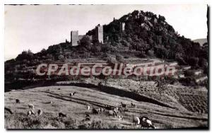 Postcard Old Hyeres Les Palmiers The ruins of Chateau