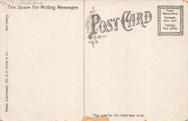 Vintage Terre Haute Indiana Court House Divided Back Postcard 1907-1915