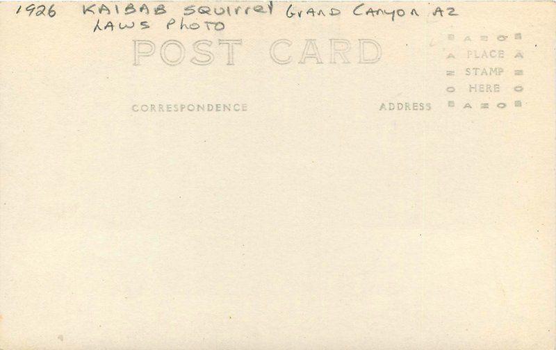 GRAND CANYON ARIZONA 1926 Kaibab Squirrel Laws RPPC real photo postcard 4212