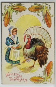 Thanksgiving Turkey Silver Trim Embossed Postcard R15