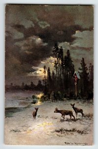 Deer Sunset Snow Trees Clouds Postcard Signed Muller Wildlife HKM 419 Germany