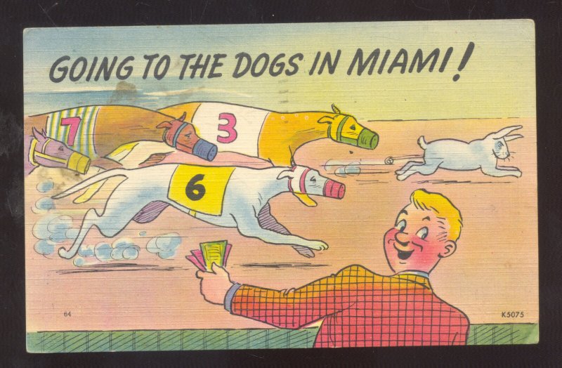 GOINT TO THE DOGS IN MIAMI FLORIDA DOG RACING VINTAGE COMIC POSTCARD