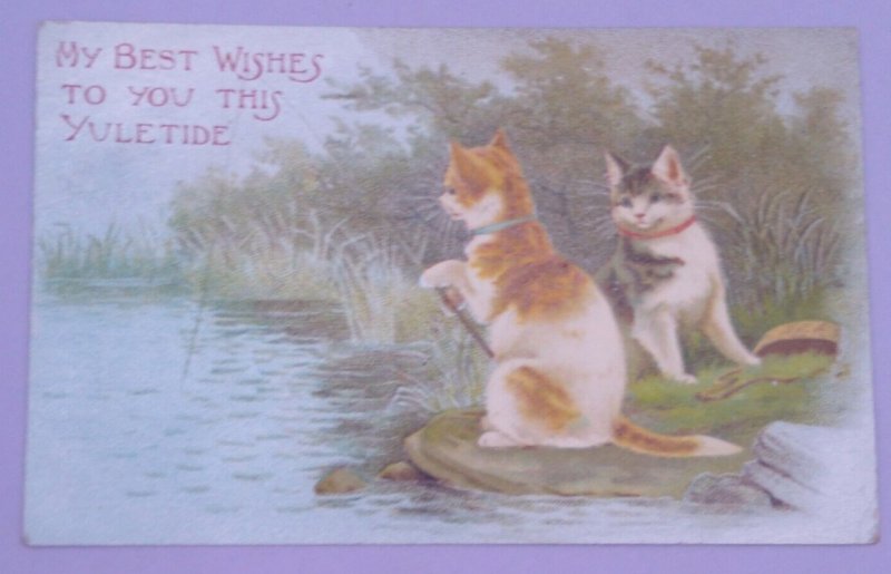 Helena Maguire Cats Kittens Fishing Antique Vintage Christmas Postcard