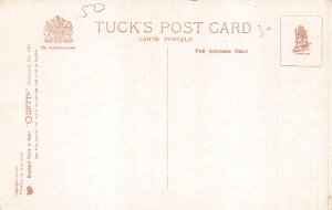 Anthropomorphic Humanized Chicks Chicken Wedding Carriage Whip postcard B886