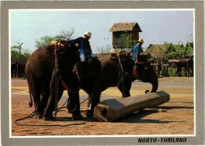 CPM AK THAILAND Well-Trained Elephants working in Teak-Wood Forests(345803)