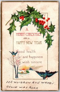 A Merry Christmas & A Happy New Year,1921 Holly Sprig And  Blue Birds, Postcard