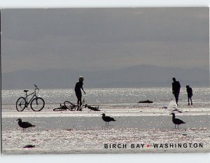 M-214452 Birch Bay Washington USA