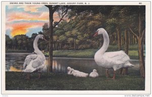 Swans , Sunset Lake , ASBURY PARK , New Jersey , 00-10s