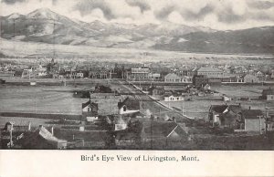 LIVINGSTON MT Bird's Eye View Montana Vintage Postcard ca 1910s