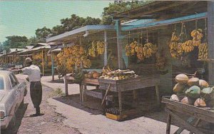 Puerto Rico Tropical Fruit Market As Seen From El Yungue Rain Forest