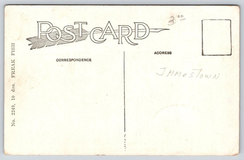 Lake George Indiana~Fisherman: Exaggerated Average Day's Catch~Full Boat~1920