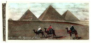 Lot 2 Cairo Egypt Pyramids of Gizeh Palm Trees Camels Postcard 3 x 6
