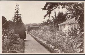 Norfolk Postcard - The Gardens, Fritton Lake   DC261