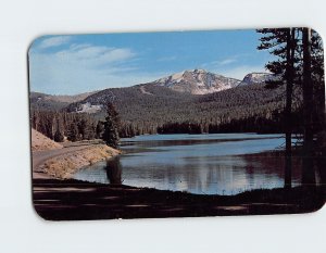 Postcard Sylvan Lake Yellowstone National Park Wyoming USA