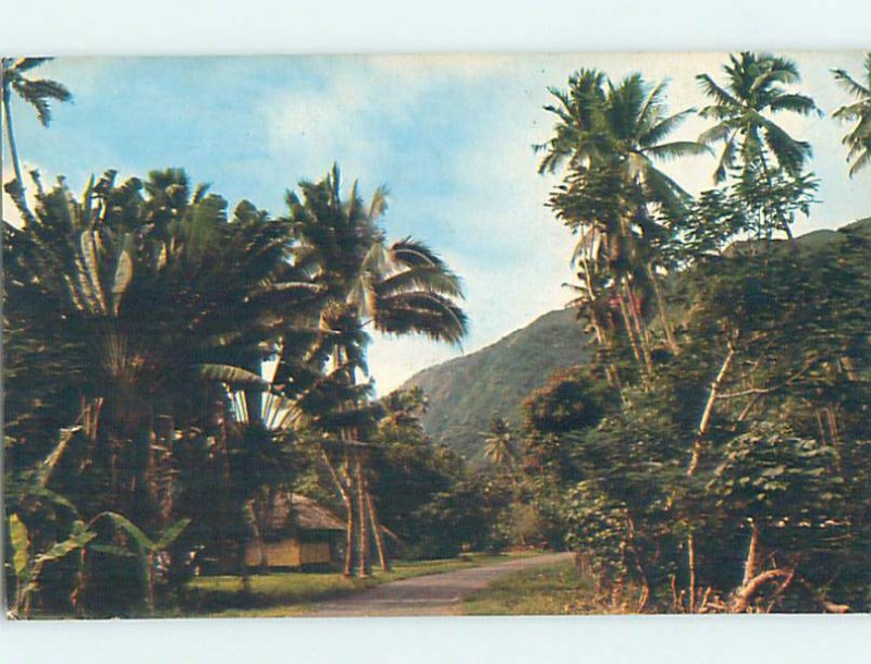 Pre-1980 NATURE SCENE Road To Taurita Tahiti AD6220