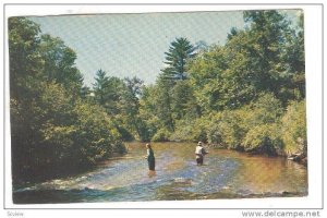 Trout Fishing on the pere marquette in Michigan, PU-40-60s