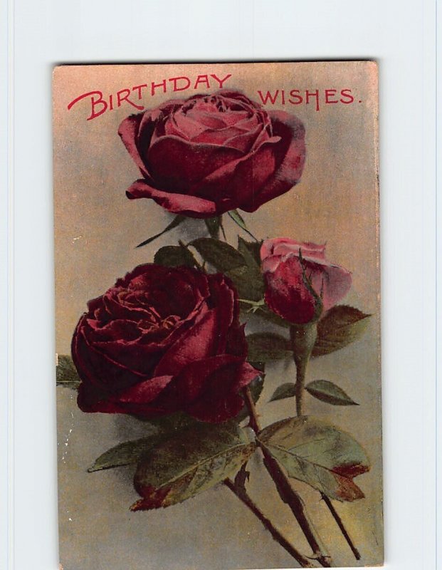 Postcard Birthday Wishes with Roses Art Print