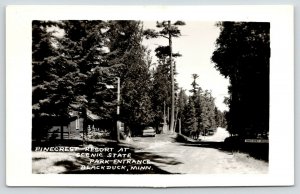 Blackduck Minnesota~Pinecrest Resort @ State Park Entrance~Dirt Road~1964 RPPC 