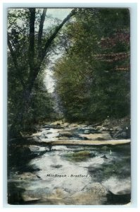 1916 Mill Brook Bradford New Hampshire NH Posted Antique Postcard 