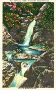 Vintage Postcard 1920's Water Falls on Mount Mitchell Western North Carolina NC