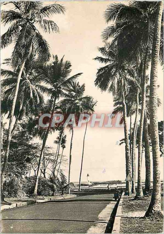 Modern Postcard Conakry Guinea La Corniche and the Lighthouse Boulbinet