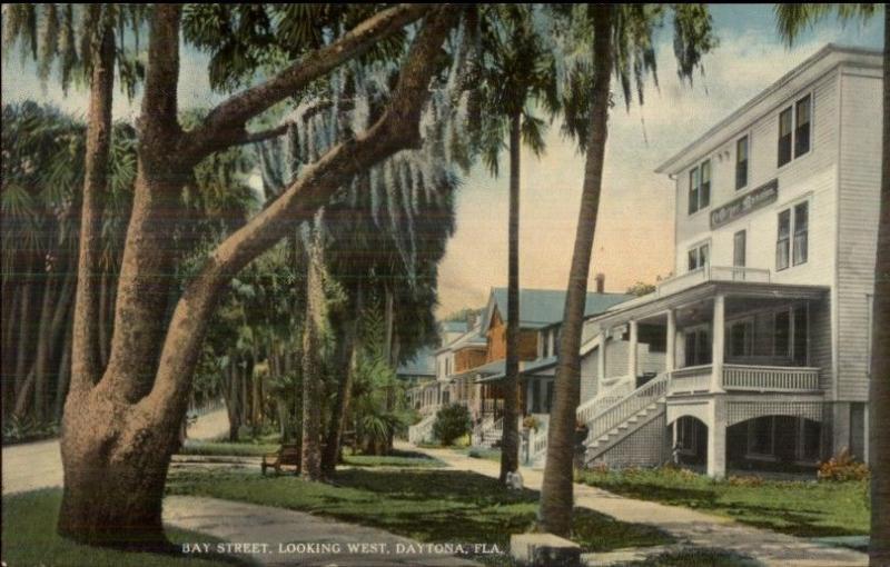 Daytona FL Bay St. Homes c1910 Postcard