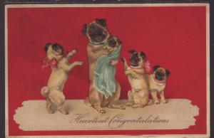 Hearty Congratulations,Dogs Postcard 