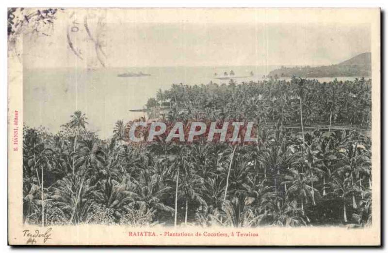 Raiatea CPA Plantations of coconuts has Tevaitos (Tahiti Pol