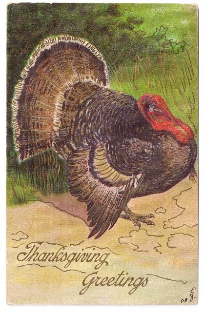 Thanksgiving Tom Turkey Embossed Moire Background Vintage1908 Postcard