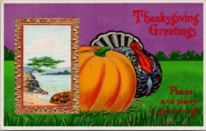 Thanksgiving Greetings Turkey Pumpkin Embossed Serie 7152 Postcard G31