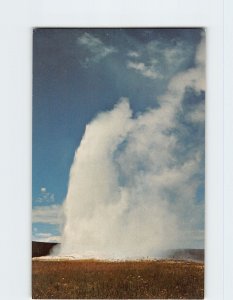 Postcard Old Faithful, Yellowstone National Park, Wyoming