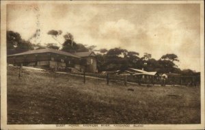 Kangaroo Island American River Guest Homes - Australia USED Postcard