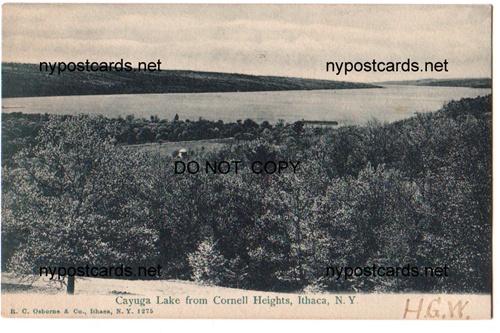 Cayuga Lake from Cornell Hgts, Ithaca NY