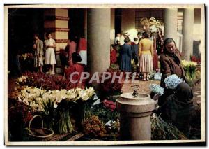 MODERN CARD The Flower Corner off the Market Funchal Madeira