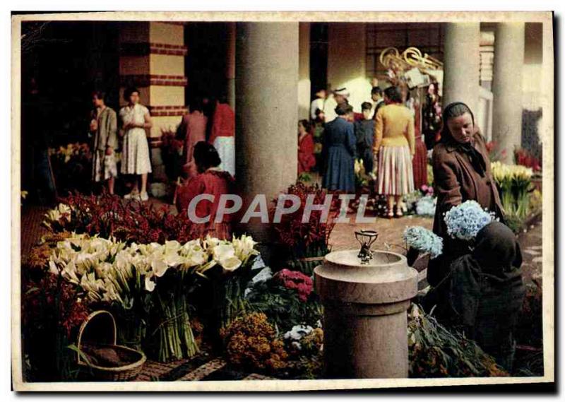 MODERN CARD The Flower Corner off the Market Funchal Madeira