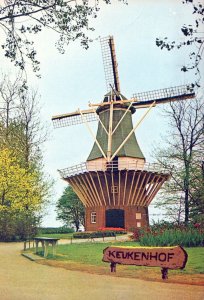 VINTAGE CONTINENTAL SIZE POSTCARD KEUKENHOF WINDMILL LISSE HOLLAND