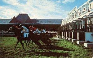 NY - Saratoga Springs. Saratoga Race Track, Horse Racing